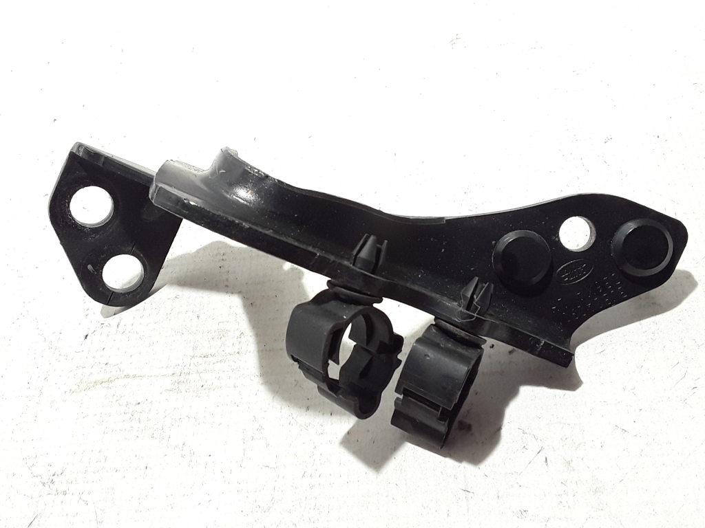 LAND ROVER Range Rover Evoque L538 (1 gen) (2011-2020) Kreisās puses bagāžnieka eņģe BJ3242901 21586628