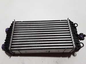 Peugeot 208 (2019–2026) Intercooler 9824742280 - 5