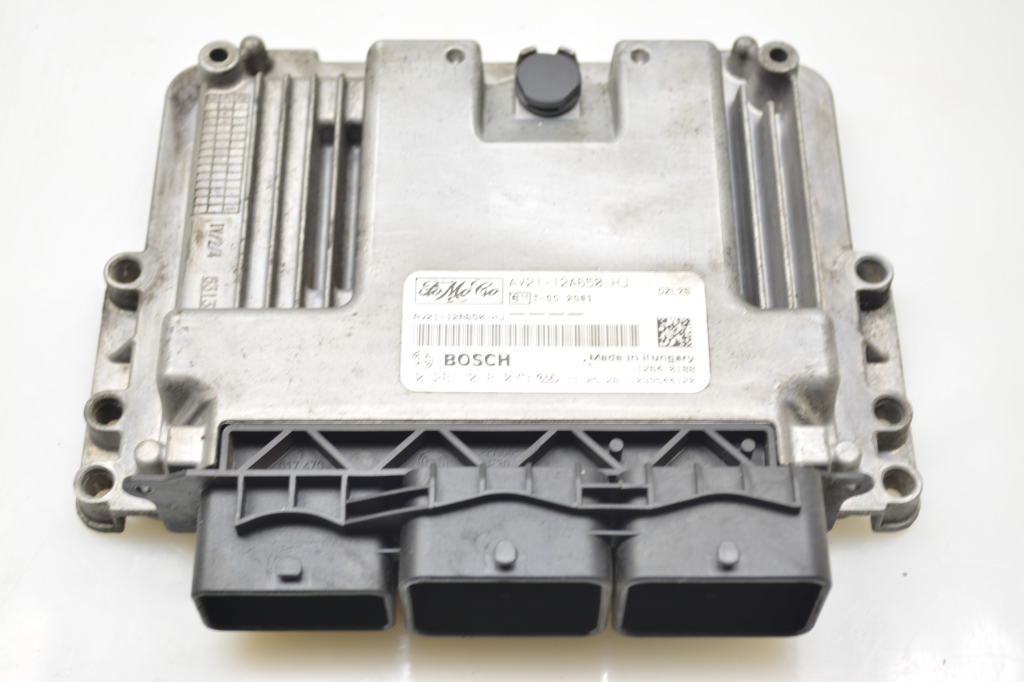 FORD Fiesta 6 generation (2008-2020) Variklio kompiuteris AV2112A650HJ 25126294