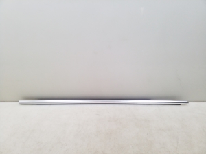 Rear side door outer window molding - 