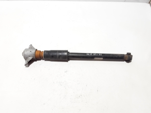   Rear shock absorber 