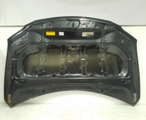 LEXUS RX GGL1 (2009–2015) Kapott - 2