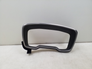 Instrument cluster trim - 5541102C10