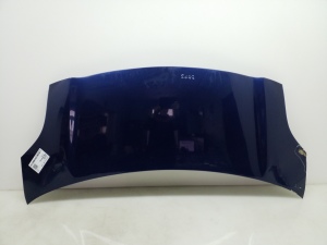   Hood  - 533010D080 