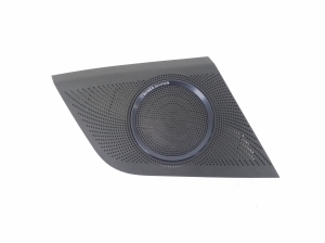   Speaker grille  -  