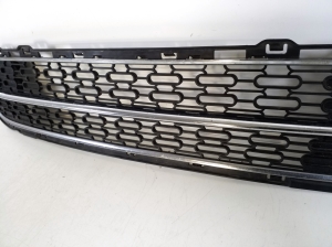  Front bumper lower grille 