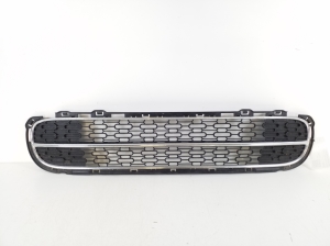  Front bumper lower grille 