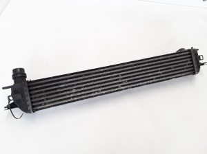 RENAULT Laguna III (2007–2015) Intercooler 144610001N - 2