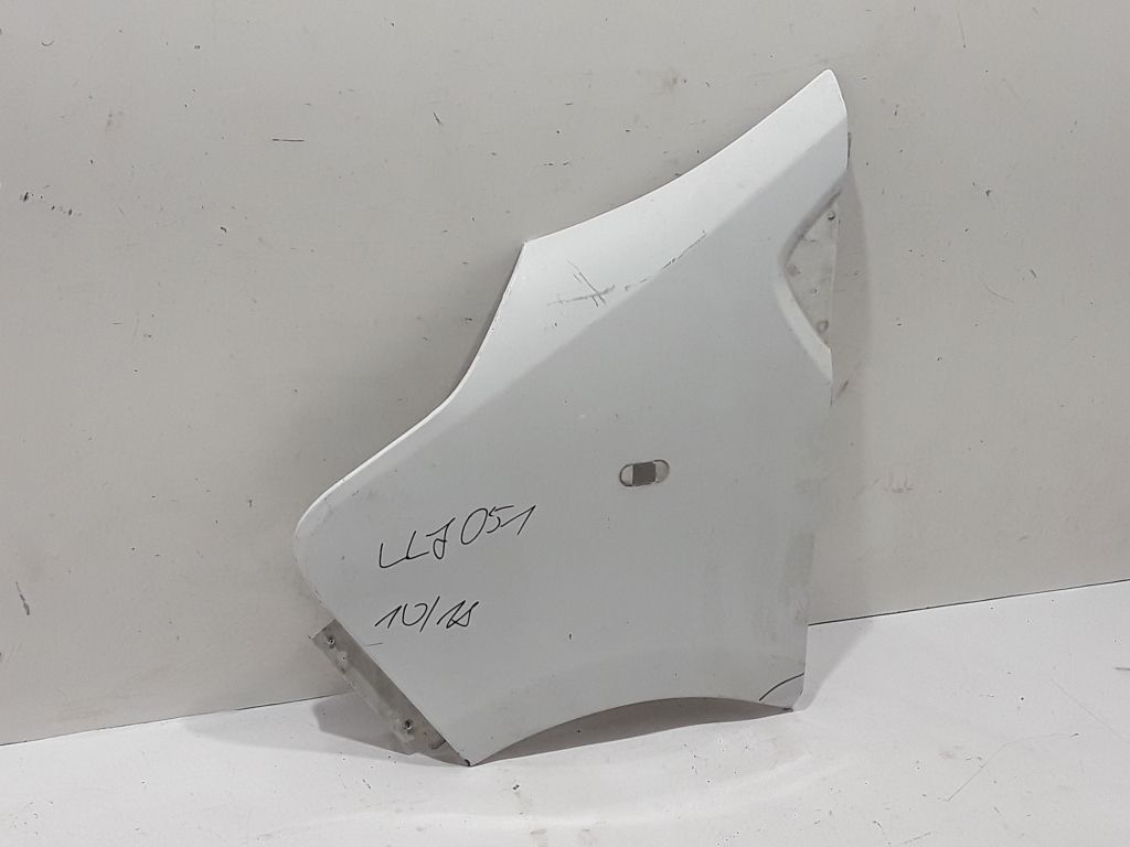 RENAULT Trafic 3 generation (2014-2023) Front Left Fender 631014989R 21843581