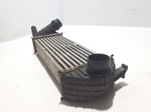 RENAULT Kangoo (2008–2020) Vahejahuti radiaator 144963234R - 3