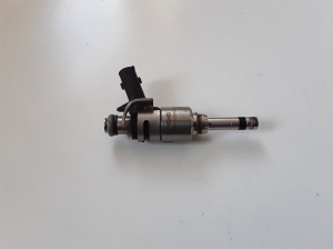   Fuel injector 