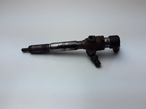   Fuel injector 