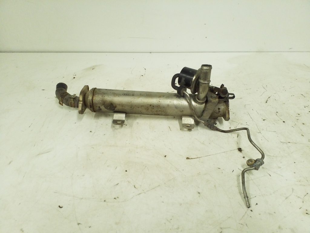 VOLKSWAGEN Golf 6 generation (2008-2015) EGR aušintuvas 03L131512B 24991533