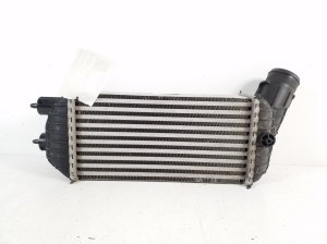 Citroen DS5 (2011–2019) Intercooler 9674720580 - 2
