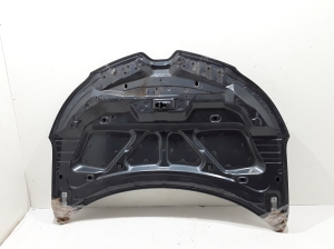 RENAULT Kadjar (2015–2026) Kapott 651229810R - 4