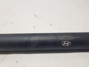 Hyundai IONIQ 5 I (2021–2026) Trunk lid strut 81841GI101 - 3