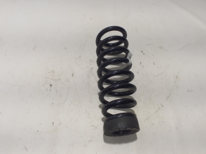 Rear spring - 55330GI130