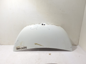   Motorhaube  - 651001855R 