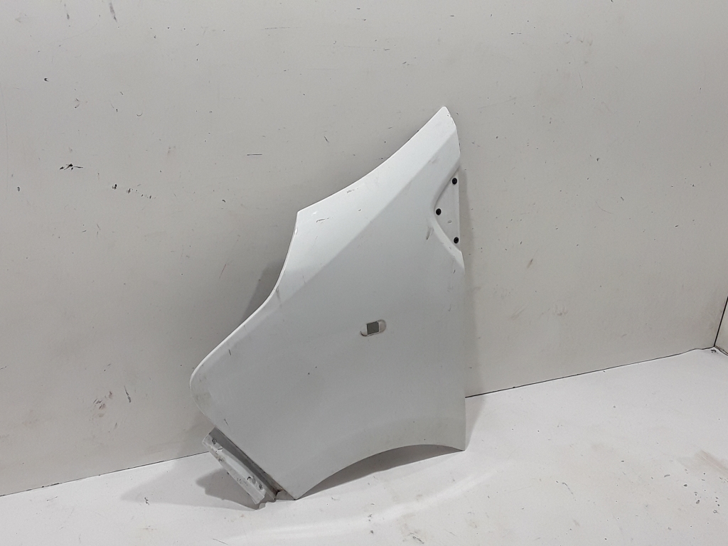 RENAULT Trafic 3 generation (2014-2023) Front Left Fender 631014989R 22225007