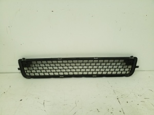  Front bumper lower grille 