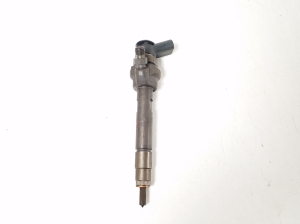   Fuel injector 