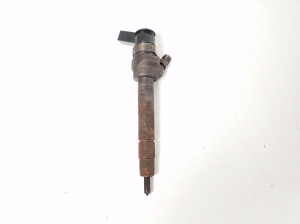   Fuel injector 