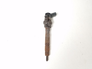   Fuel injector 