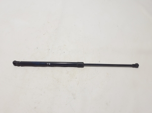   Trunk lid shock absorber 