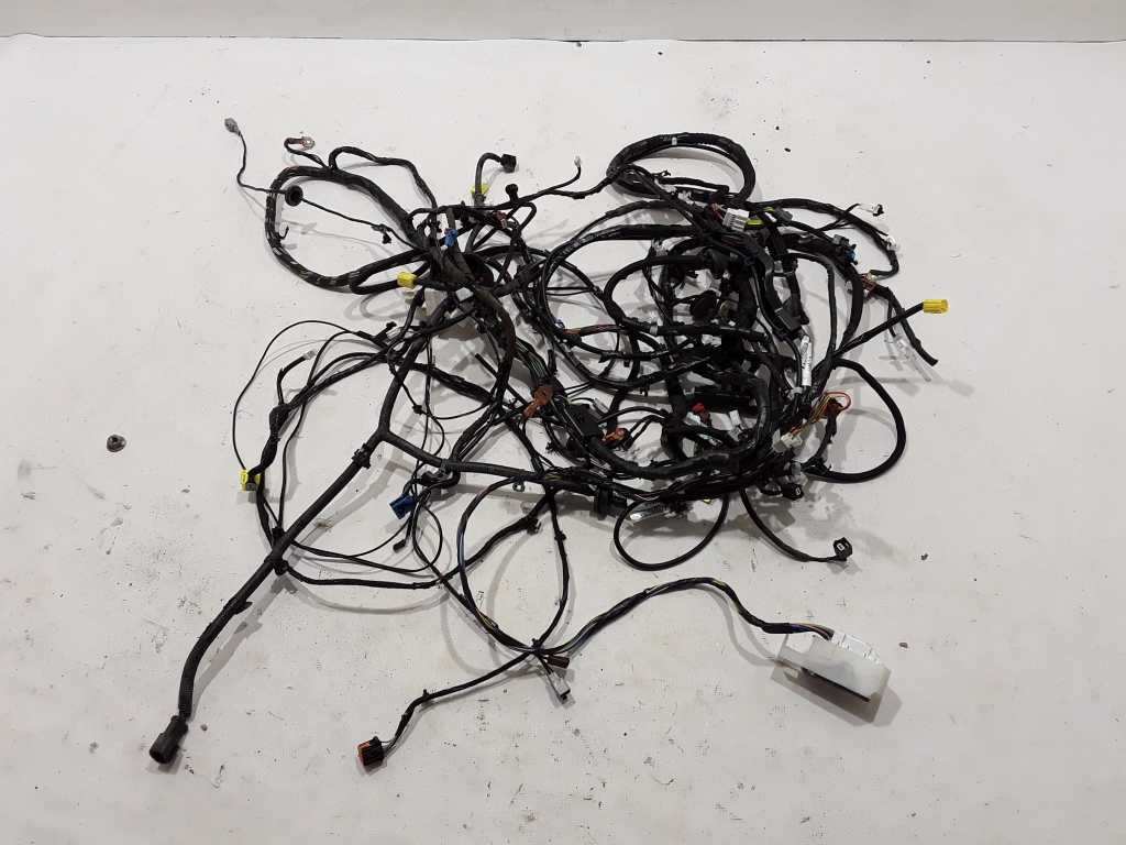 NISSAN Qashqai J11 (2013-2022) Interior wiring harness (left) 241514EA0B 22449163