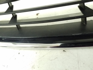  Front bumper lower grille 