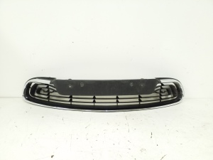  Front bumper lower grille 