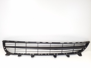   Front bumper lower grille 