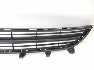  Front bumper lower grille 