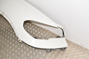 BMW X5 E70 (2006–2013) Front fender 7222974 - 5