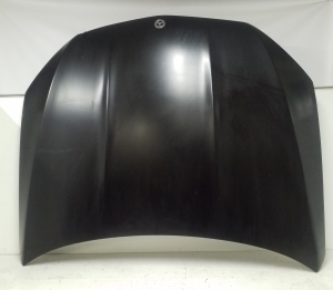 Motorhaube - A1678800300