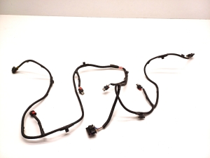 Wiring harness - 1067959-00-E