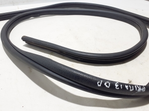 NISSAN Primastar X83 (2001–2014) Front door weatherstrip 7700313623 - 3