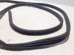 NISSAN Primastar X83 (2001–2014) Front door weatherstrip 7700313623 - 4