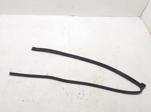 NISSAN Primastar X83 (2001–2014) Front door rubber seal 8200218032 - 4