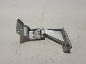   Rear tailgate hinge 