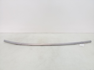 Dachleiste - A2096900680