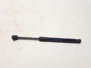   Trunk lid shock absorber 