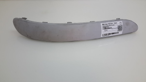 Front bumper trim strip - A1688851421