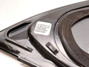 Tesla Model 3 3 (2016–2024) Seitenscheibe hinten (Karosserie) 1514979-01-B - 2
