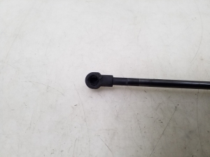 BMW 1 SERIES F20 (2010–2026) Trunk lid strut 7239871 - 2