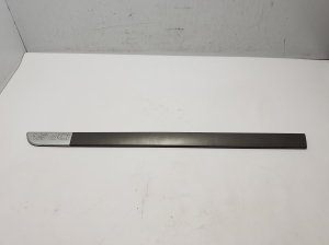 Front door molding - 8200073469