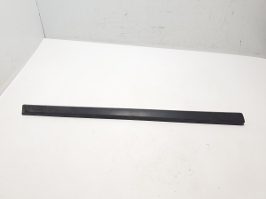   Front door molding  - 808217819R 