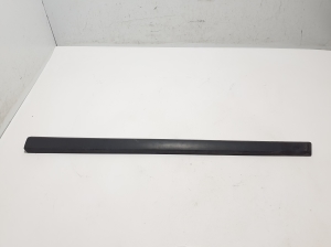   Front door molding  - 808201969R 