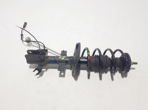 Front shock absorber - 543021244R