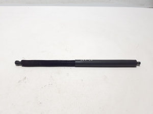   Trunk lid shock absorber 